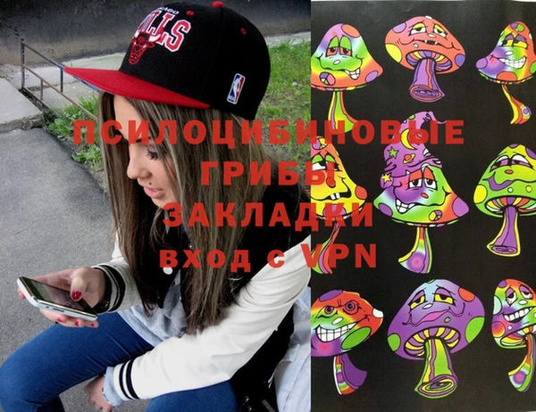 скорость Ельня