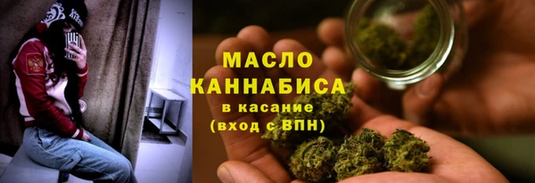 сатива Елабуга