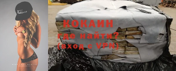 сатива Елабуга