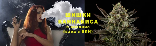 сатива Елабуга