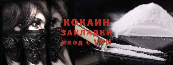 скорость Ельня
