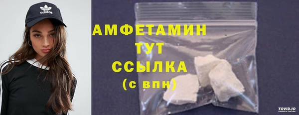 сатива Елабуга