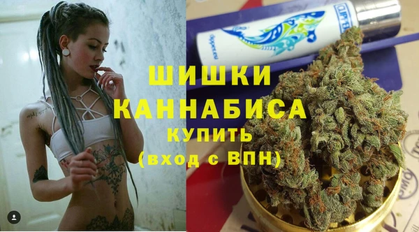 сатива Елабуга