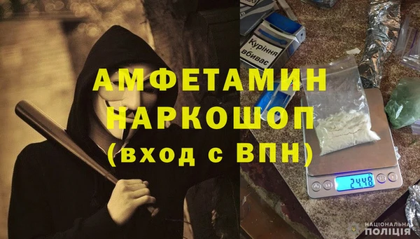 сатива Елабуга