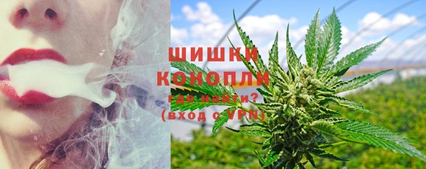 скорость Ельня