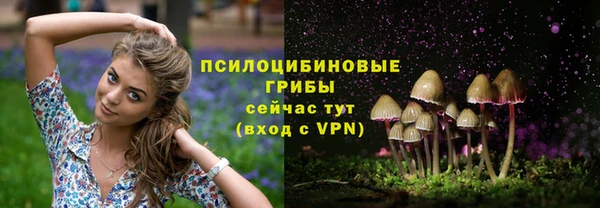 скорость Ельня