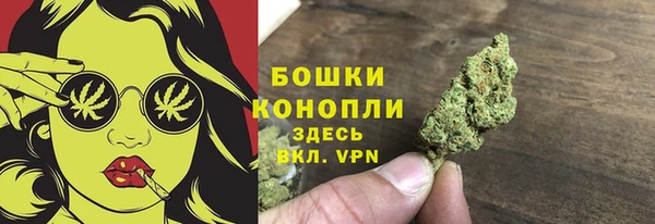 скорость Ельня